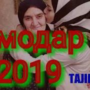 Модар2019