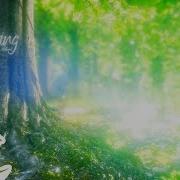 Spring Beautiful Relaxing Music With A Flute Cello Guitar Piano