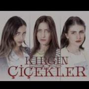 Derin Üzüntü Kirgin Cicekler