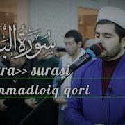 Muhammadloiq Qori Go Zal Qiroat