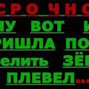 Архисрочно Творец Отделю Зёрна От Плевел