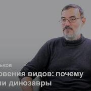 Еськов Кирилл