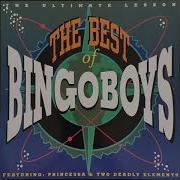 The Best Of Bingoboys