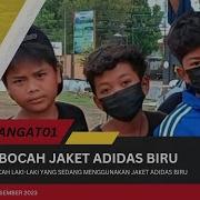 Anak Kecil Baju Adidas Biru