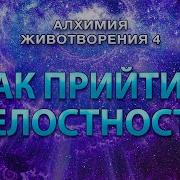 Бесконечныи Космос Высшие Смыслы Семинар Гарат