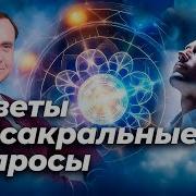 Ефимов Что Такое Человек Есть Ли Бог Жизнь После Смерти Виктор Ефимов