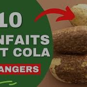 Les Bienfaits Du Petit Cola