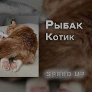 Котик Speed Up