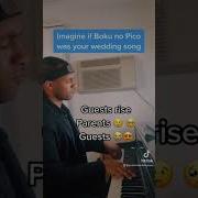 Boku No Pico