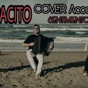 Despacito Akordeon Cover Accordion