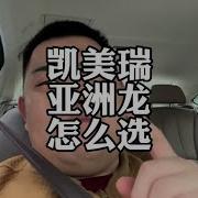 凯美瑞亚洲龙迈腾