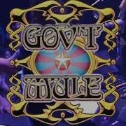 Gov T Mule Irving Plaza