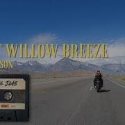 Desert Willow Breeze Will Harrisonm