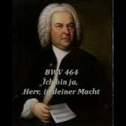 Ich Bin Ja Herr In Deiner Macht Bwv 464