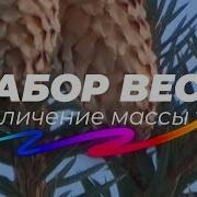 Саблиминалы На Набор Веса