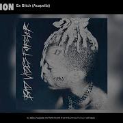 Xxxtentacion Ex Bitch Traduction Fr Acapella