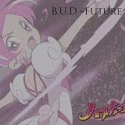 Heartcatch Precure B U D Future Flower Kan Rom Eng