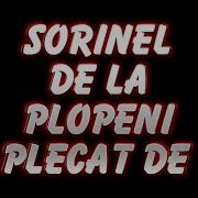 Sorinel De La Plopeni