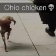 Ohio Memes