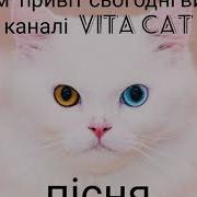 Котику Мурчику