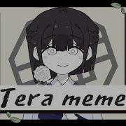 Tera Meme