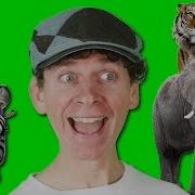 Animal Names Song With Matt Wild Animals For Children Learn English Kids