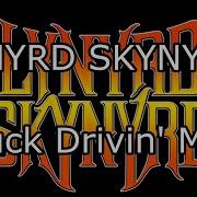 Lynyrd Skynyrd Truck Driving Man Lyrics