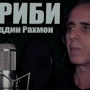 Аз Гулшани Гулзор Ба Гулистон