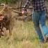 Pet Parent Rescues Pup From Kangaroo Fight