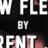 New Flesh By Current Joys Market Hotel