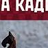 Шахматы за кадром Не все то золото что блестит