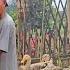 Bo Harvests A Big Basket Of Duck Eggs Dad And Grandpa Plant Bamboo Around The House Sung A Pao