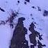 Rare Footage Snow Leopard Drags Blue Sheep Falls Off Cliff Chasing It In Himachal Mountains