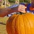 Halloween With Blippi At A Pumpkin Farm Educational Videos For Kids