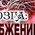 ВЫНОС МОЗГА 52 Кровоснабжение головного мозга 18 08 2018 Савельев С В