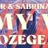 Alan Walker Sabrina Carpenter On My Way Aras Özege Remix