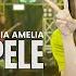 VIA AMELIA WONG SEPELE Feat OM SERA Official Music Video