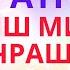 ЯЗМЫШ МИКӘН БЕЗНЕ ОЧРАШТЫРДЫ ӘНГАМ АТНАБАЕВ МАТУР ШИГЫРЬ ГАШЫЙКЛАР КӨНЕ БЕЛӘН