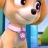 PAW Patrol Mighty Pups Pup Pup Boogie