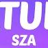 SZA Saturn Lyrics