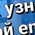 Как узнать свою электронную почту на телефоне