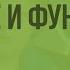 Головной мозг Строение и функции Видеоурок по биологии 8 класс