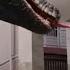 The Giant Snake Takes Crazy Revenge On The Female Stewardess School