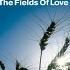 The Fields Of Love Original Club Mix