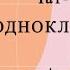 Чат боты для одноклассников