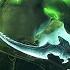 WORLD OF WARCRAFT LEGION All Cutscenes Cinematics In ORDER Up To War Within Illidan S Return