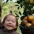 Together With My Children I Harvested A Giant Orange Garden And Brought It To The Market To Sell