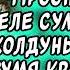 ПРОСНУЛАСЬ В ТЕЛЕ СУМАСШЕДШЕЙ КОЛДУНЬИ РЯДОМ С ДВУМЯ КРАСАВЧИКАМИ СЛУШАТЬ АУДИОКНИГИ ФЭНТЕЗИ