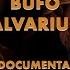 Bufo Alvarius A Short Documentary Film