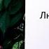 Любовь Дорошенко с презентацией новой песни